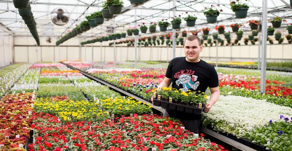 Boy student with flowers in greenhouse
