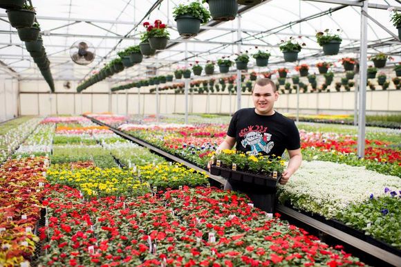 Boy in greenhouse